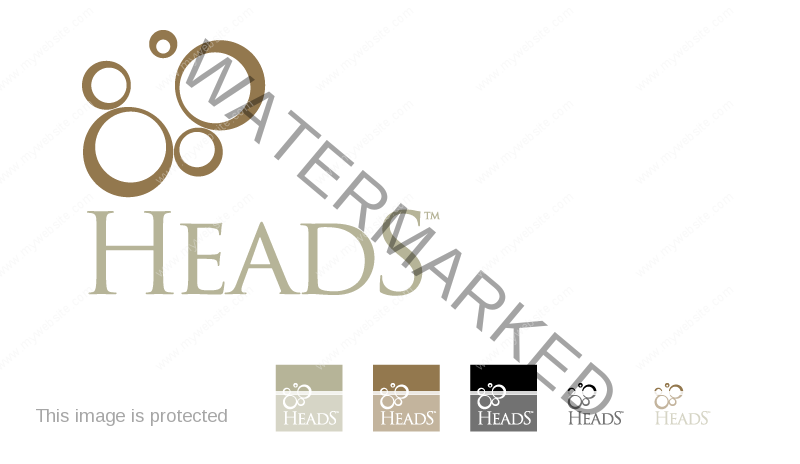 HEADS final logo